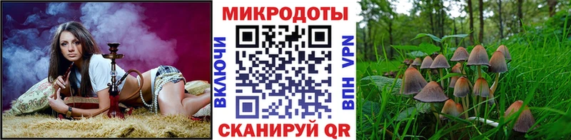 Галлюциногенные грибы Cubensis Йошкар-Ола