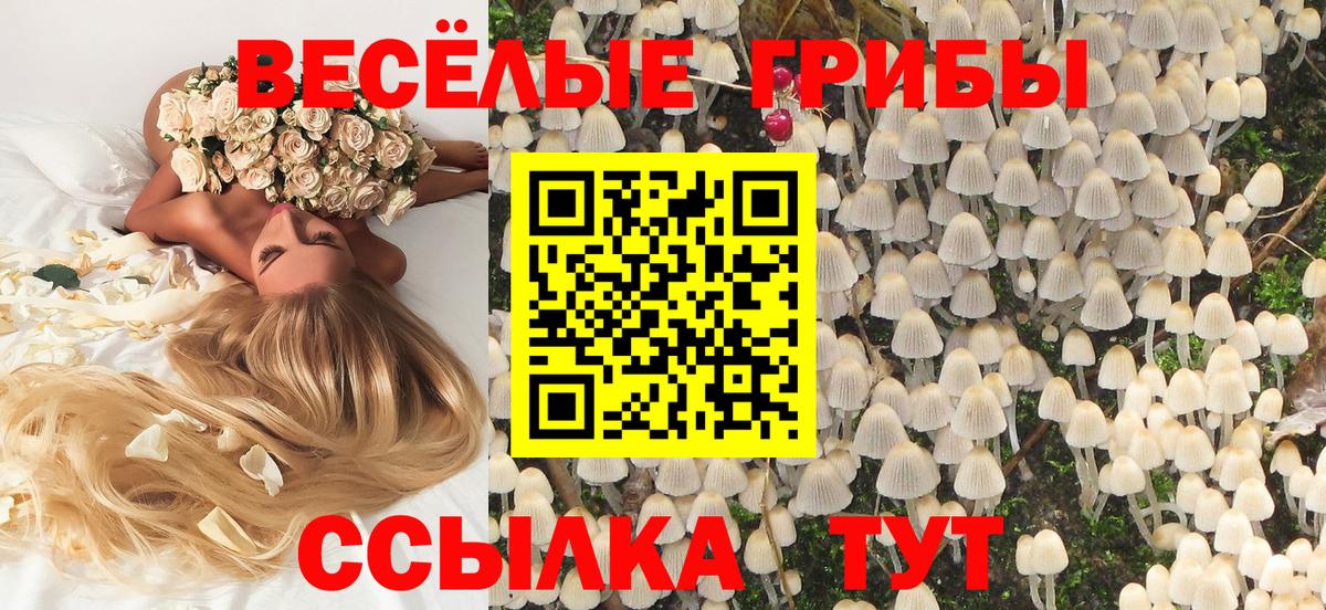 Галлюциногенные грибы мицелий Йошкар-Ола